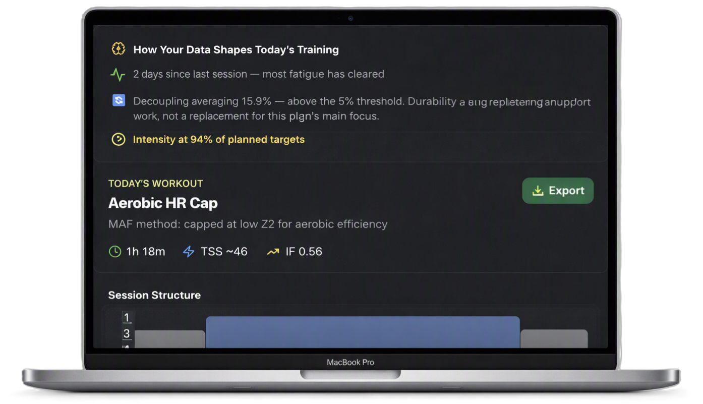 Velo.Coach — Training data insights